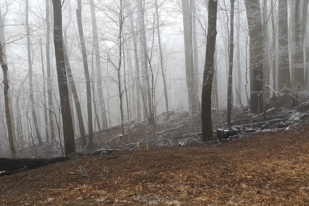 Balsam Point Quiet Walkway Trailhead detail shot - Hiking area in Gatlinburg, Tennessee