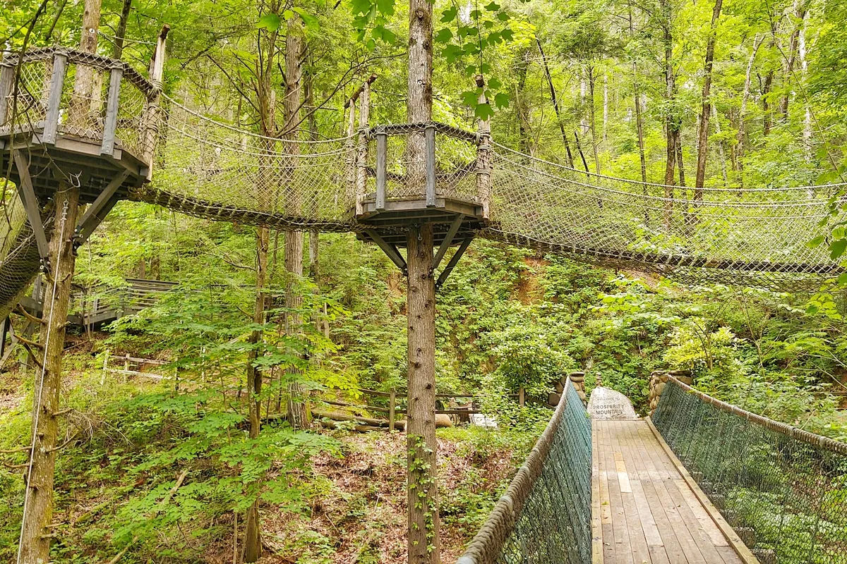 Foxfire Adventure Park detail shot - Amusement park in Sevierville, Tennessee