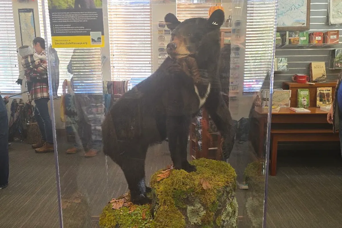 Gatlinburg Welcome Center detail shot - Visitor center in Gatlinburg, Tennessee