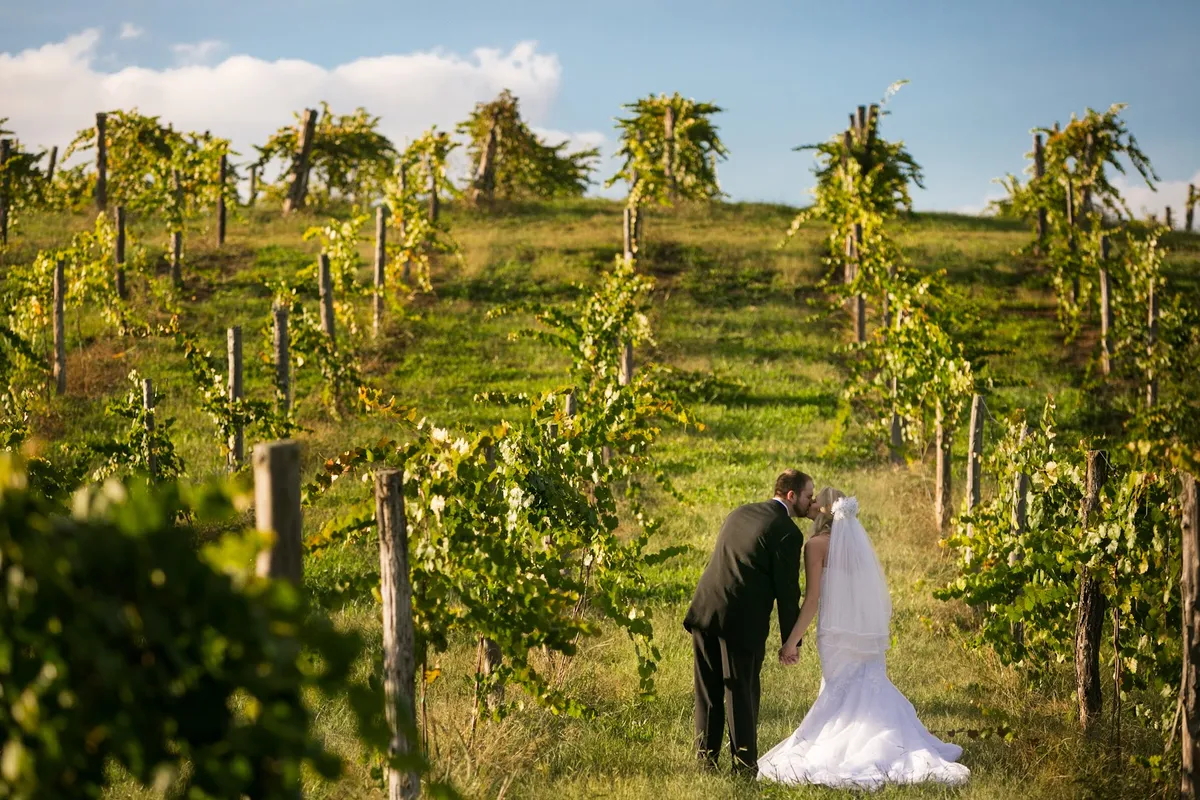 Goodwater Vineyards detail shot - Winery in Mosheim, Tennessee
