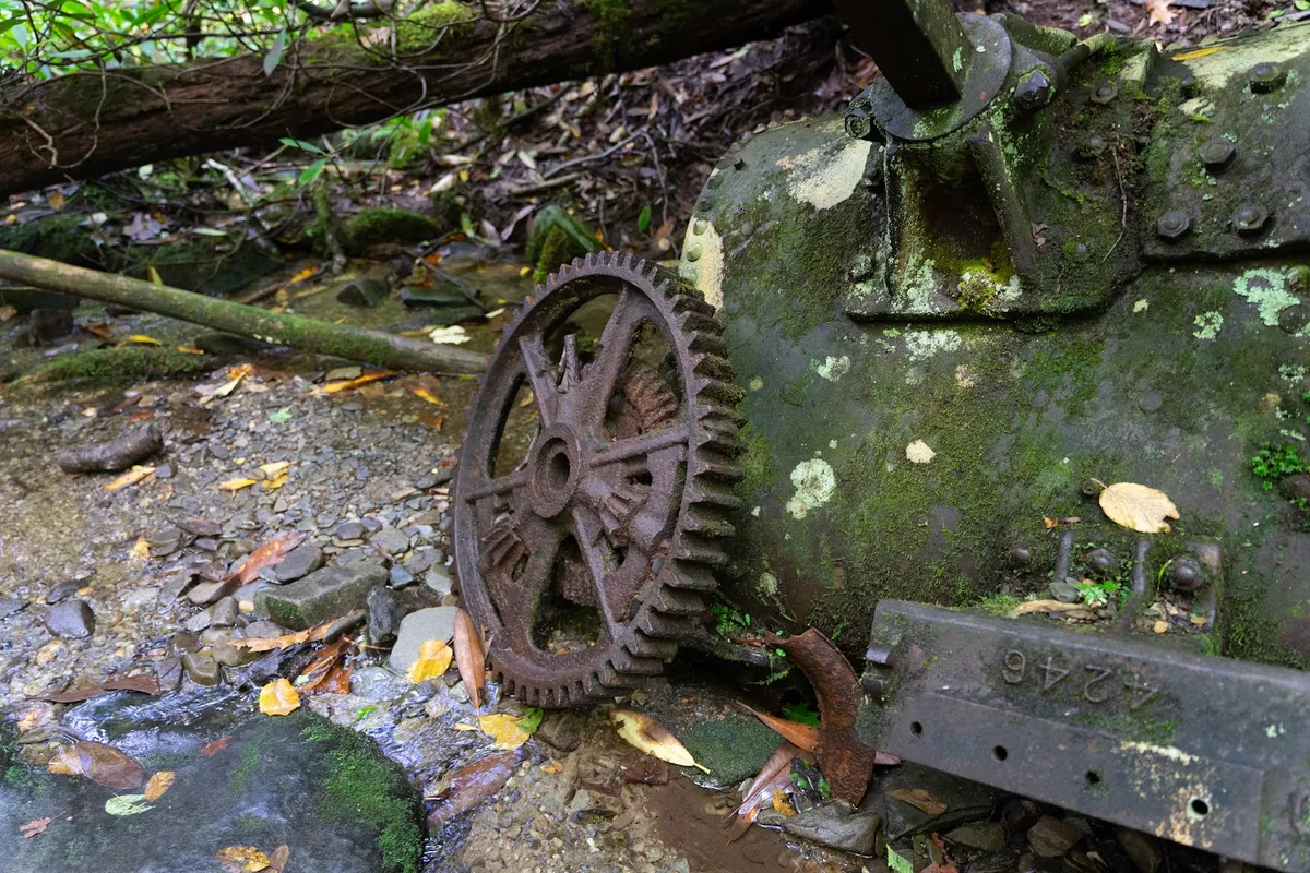 Grapeyard Ridge Trailhead detail shot - Hiking area in Gatlinburg, Tennessee