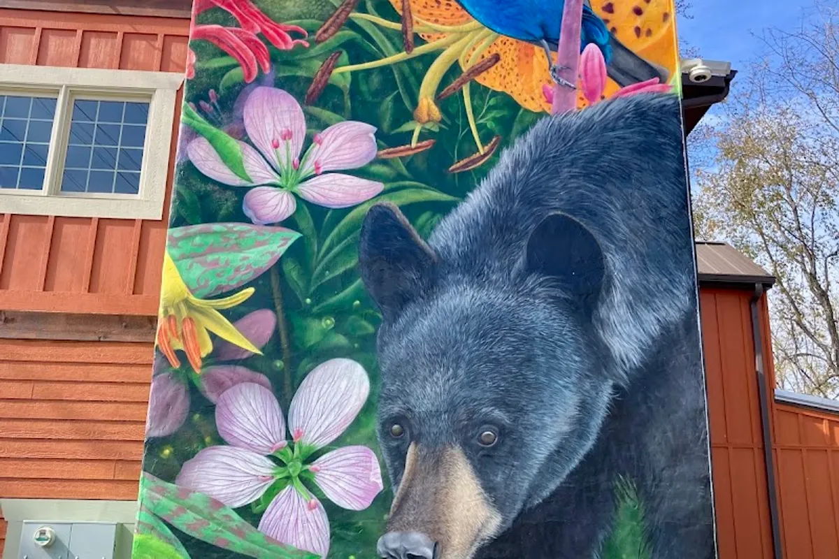 Great Smokies Welcome Center - Visitor center in Townsend