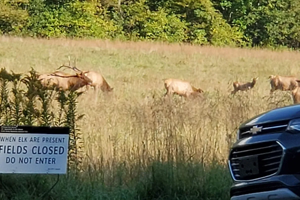 Haywood County Visitor Center detail shot - Visitor center in Lake Junaluska, Tennessee