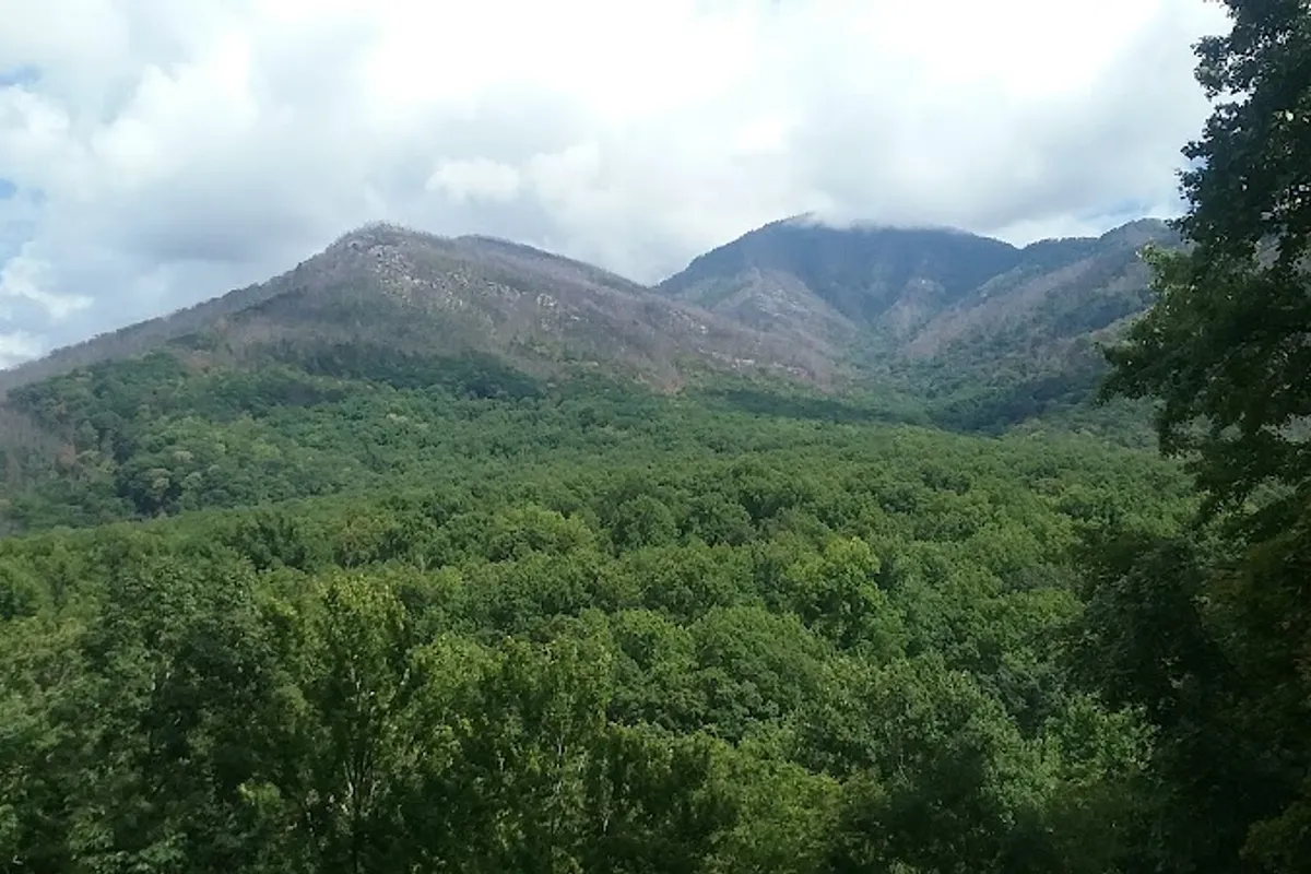 Jim Carr Place Quiet Walkway - Hiking area in Gatlinburg