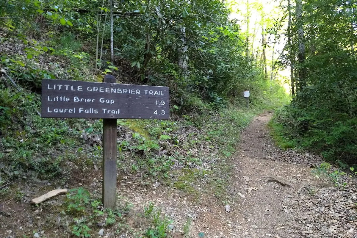 Little Greenbrier and Roundtop Trailhead detail shot - Hiking area in Sevierville, Tennessee