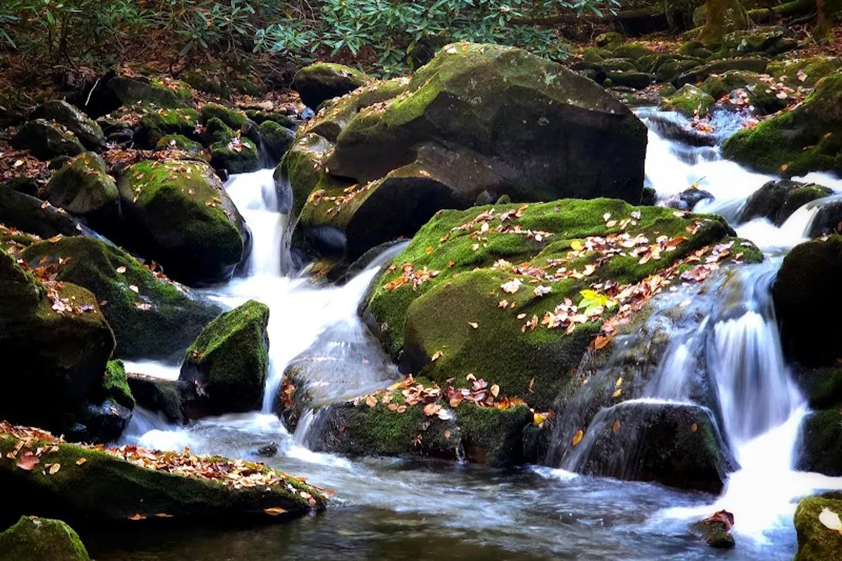 Middle Prong Trail Trailhead - Hiking area in Townsend