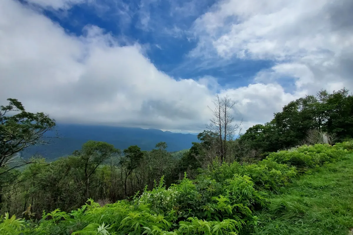 Plott Balsam Overlook detail shot - Scenic spot in Maggie Valley, Tennessee