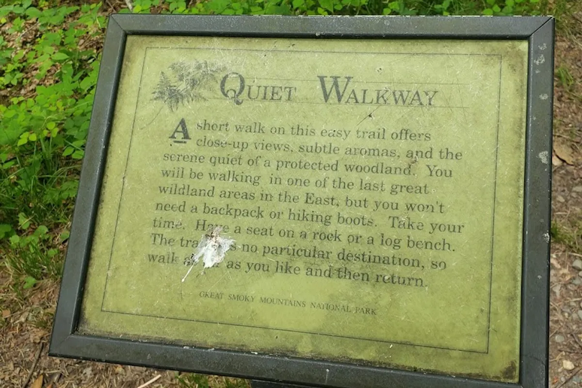 Quiet Walkway detail shot - Hiking area in Sevierville, Tennessee