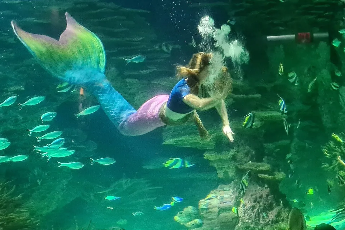 Ripley's Aquarium of the Smokies detail shot - Aquarium in Gatlinburg, Tennessee