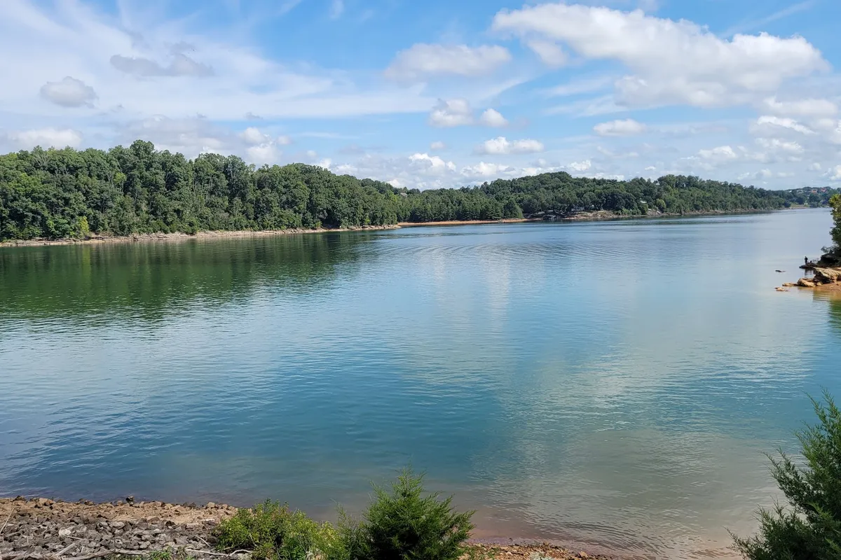 Trotter Bluff TVA Small Wild Area detail shot - Hiking area in Sevierville, Tennessee