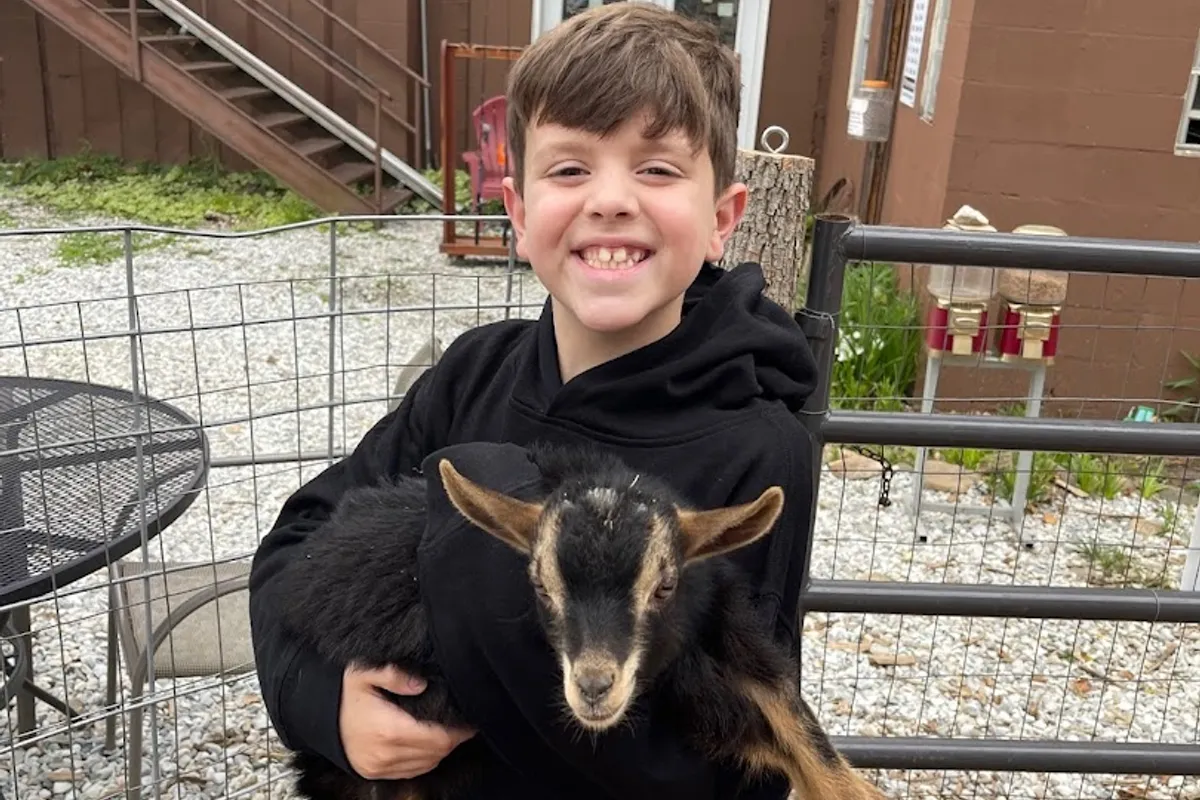 Tuckasegee Farm Animal Rescue & Petting Zoo interactive display - Tourist attraction in Bryson City, Tennessee