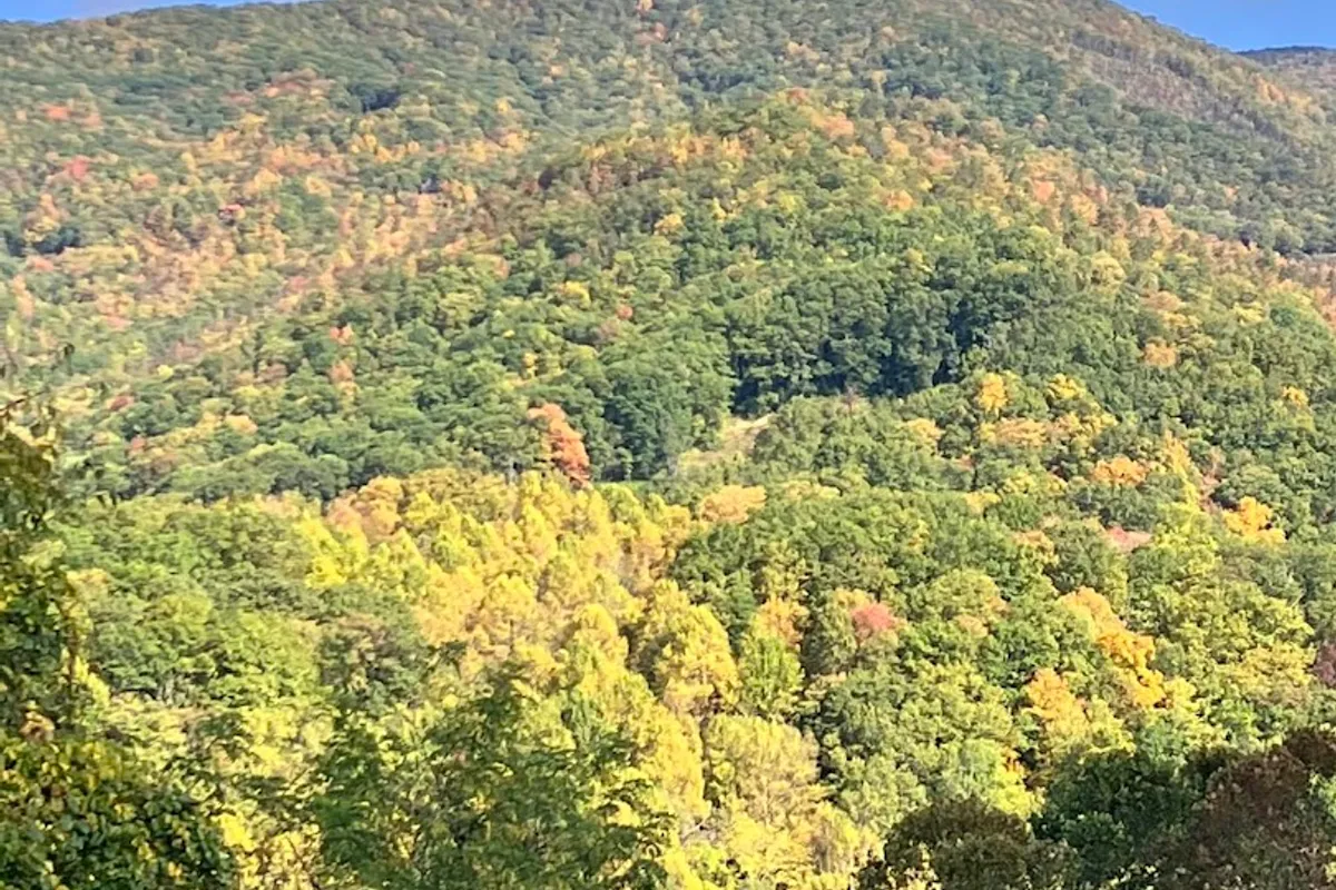 Twisted Spoke outdoor patio - American restaurant in Maggie Valley, Tennessee