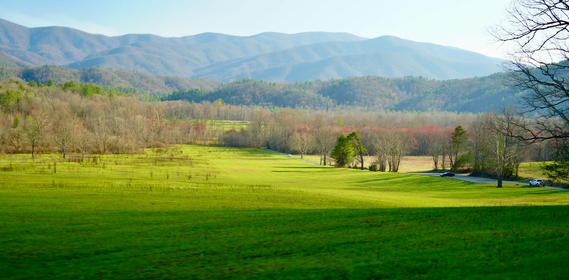Cades Cove valley in early spring, an active period for black bears emerging from winter dens